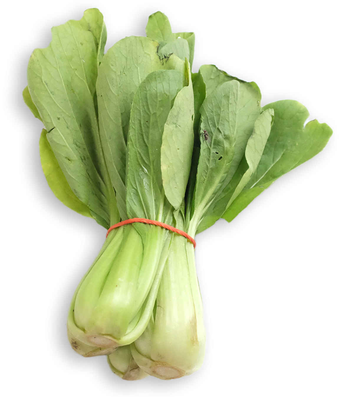 Pak-Choi